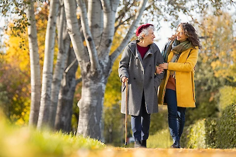 The Impacts of Fall Weather on Senior Mental and Physical Health Caring Companions at Home
