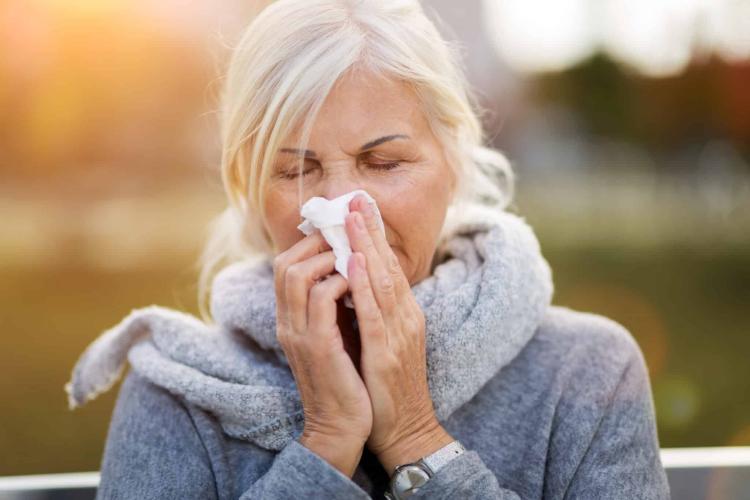 Seasonal Allergies Caring Companions at Home